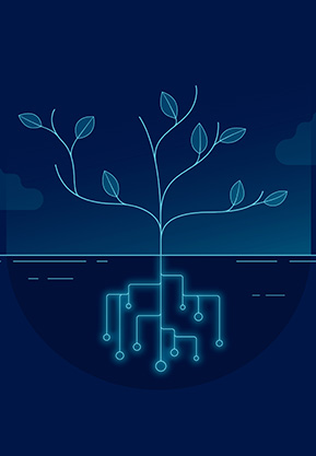 Accountants in the South East